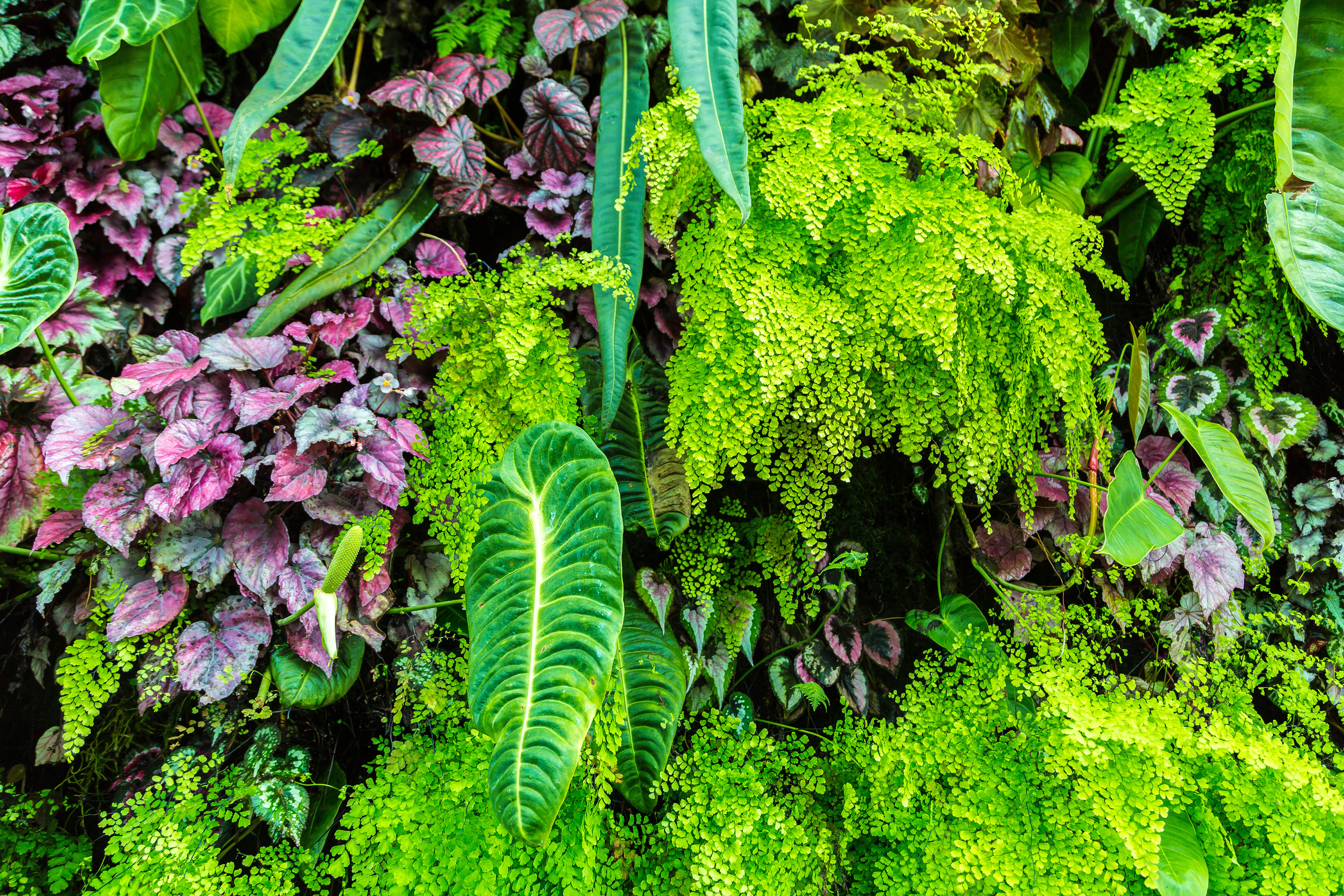 Unsplashed background img 2